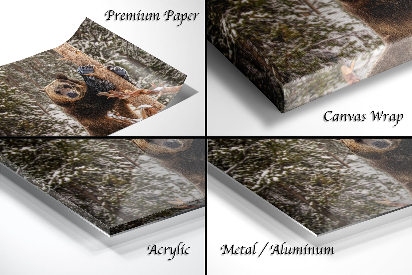 a series of four photos of a bear in the woods