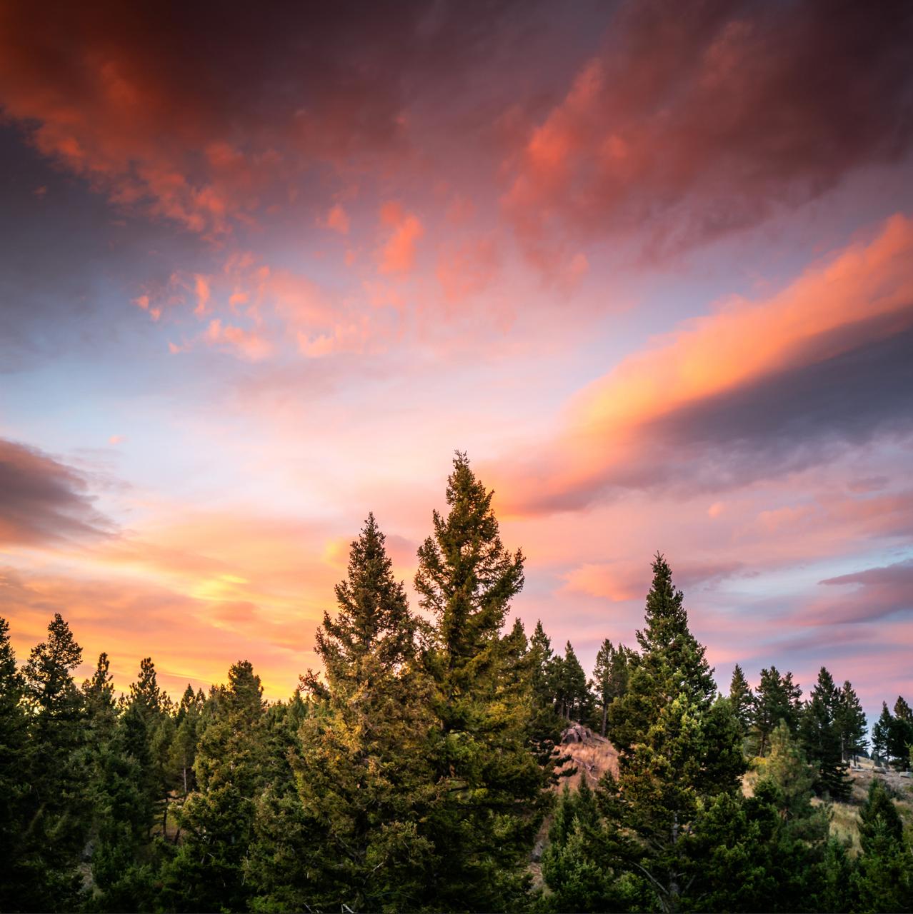 Montana