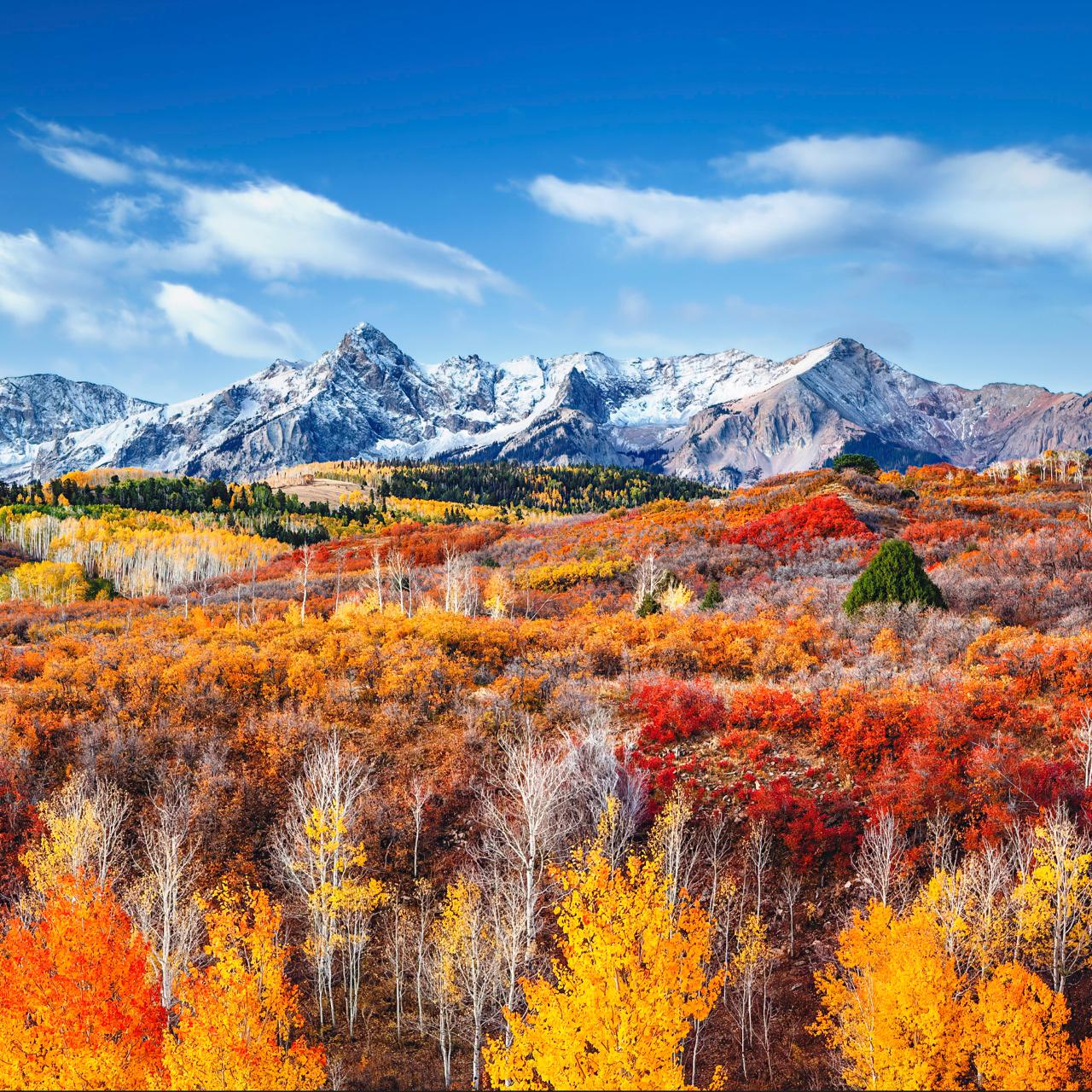 Colorado