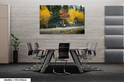 a dining room with a table and chairs