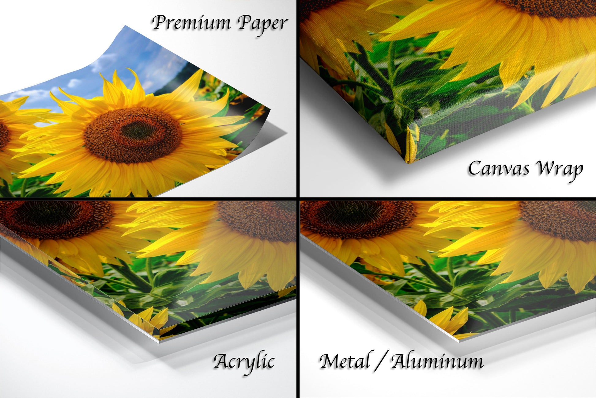 four pictures of a sunflower with the words canvas wrap