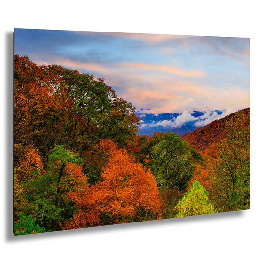 a scenic view of the mountains and trees in autumn
