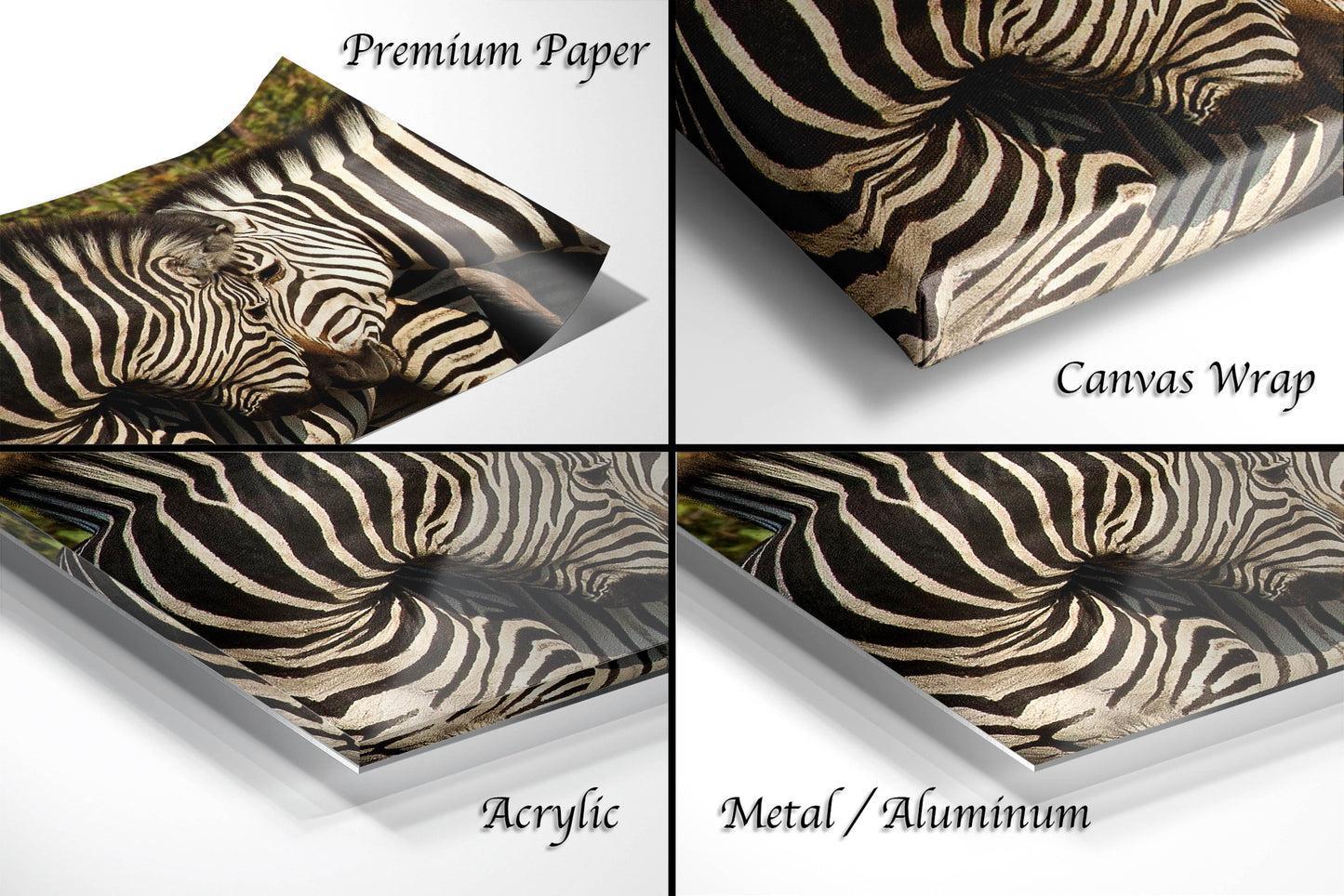 a series of four pictures of a zebra