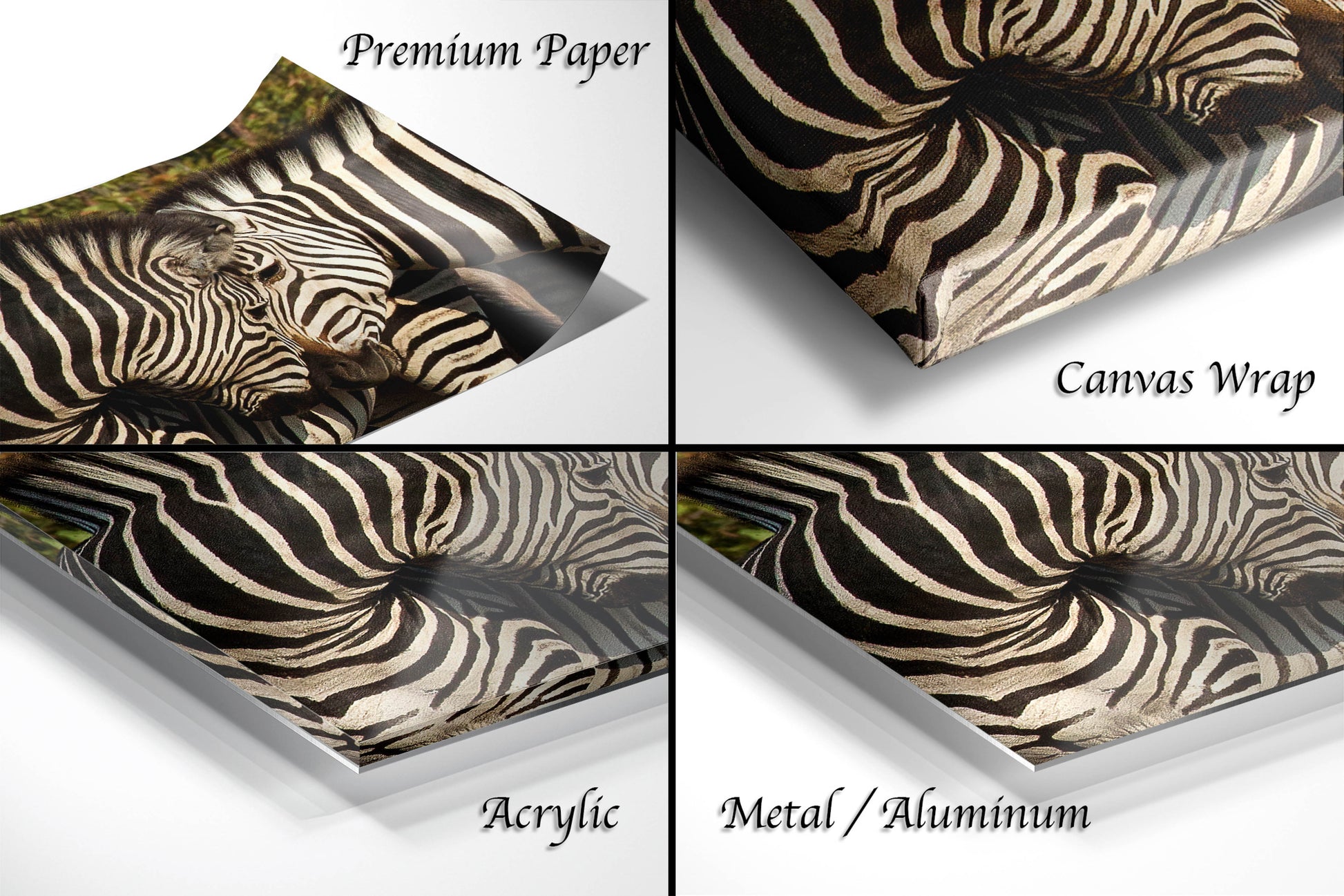 a series of four pictures of a zebra