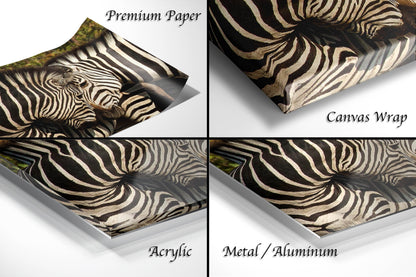 a series of four pictures of a zebra