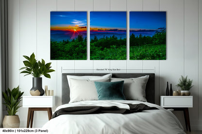 a bedroom with a bed and two paintings on the wall