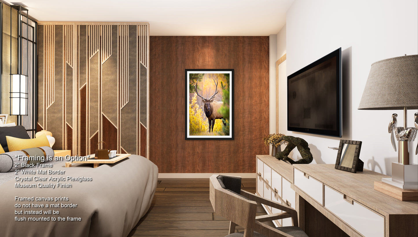 a bed room with a neatly made bed and a flat screen tv