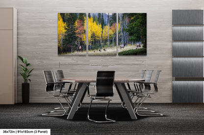 a dining room with a table and chairs
