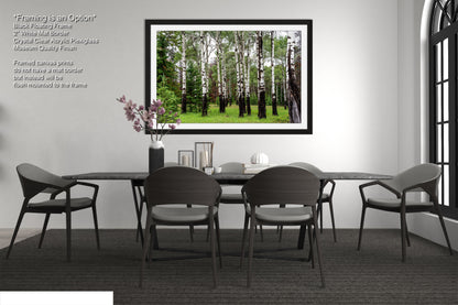 a dining room with a table and chairs