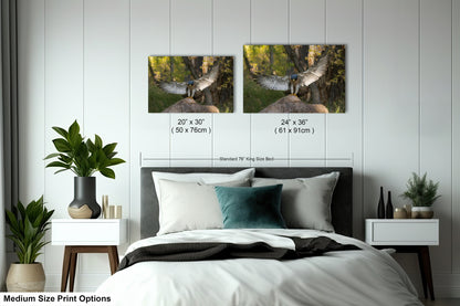 a bedroom with a bed, nightstands, and potted plants. There are two framed photographs of birds on the wall above the bed, one larger than the other. The larger photograph is labeled as a 24" x 36" print, while the smaller one is labeled as a 20" x 30" print. The text indicates that the medium size print options include both larger and smaller prints.