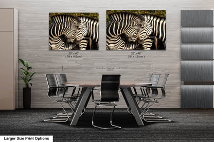 a couple of zebras standing next to each other
