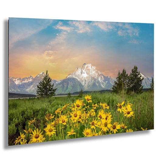 a field full of yellow flowers with a mountain in the background