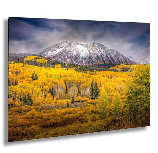 a mountain covered in snow and yellow trees