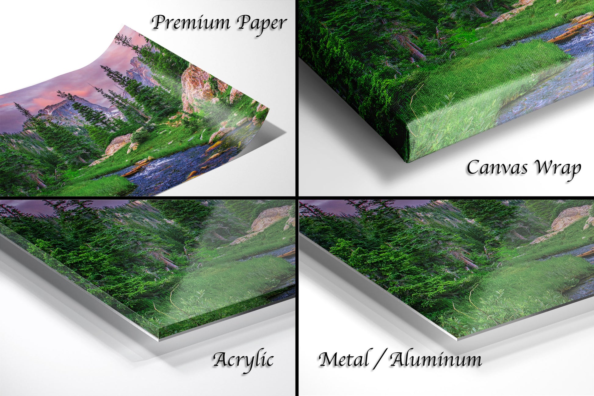 a series of four images showing different views of a forest