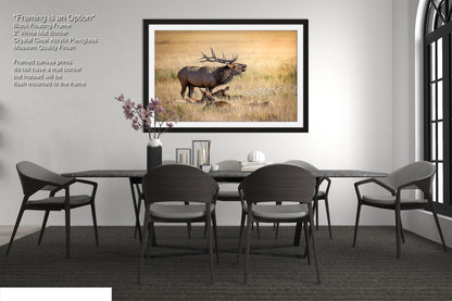 a dining room table with chairs and a picture of an elk