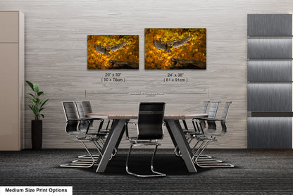 a dining room table with chairs and two pictures of a bird