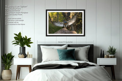 a bedroom with a large framed photograph of a bird with outstretched wings hanging on the wall above a bed with white sheets and a green pillow.