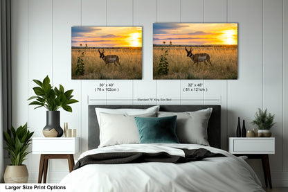 a bedroom with two framed prints of a sunset landscape on the wall above a bed. The prints are of different sizes, with one being larger than the other.