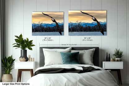 a bedroom with a bed and two pictures on the wall