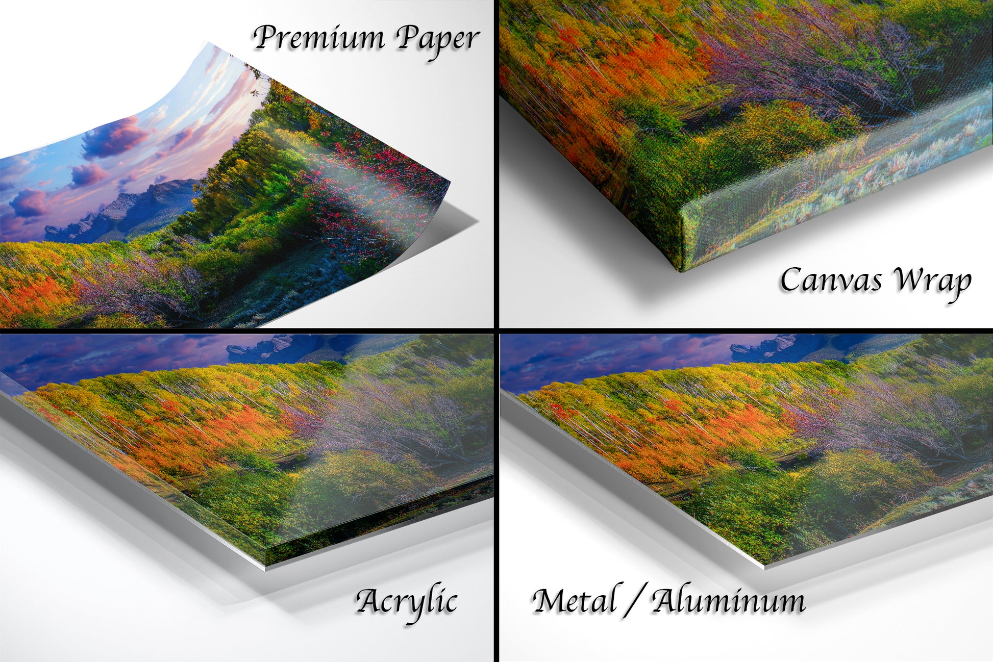 a series of four images of a colorful forest
