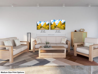 a living room with two couches and a coffee table