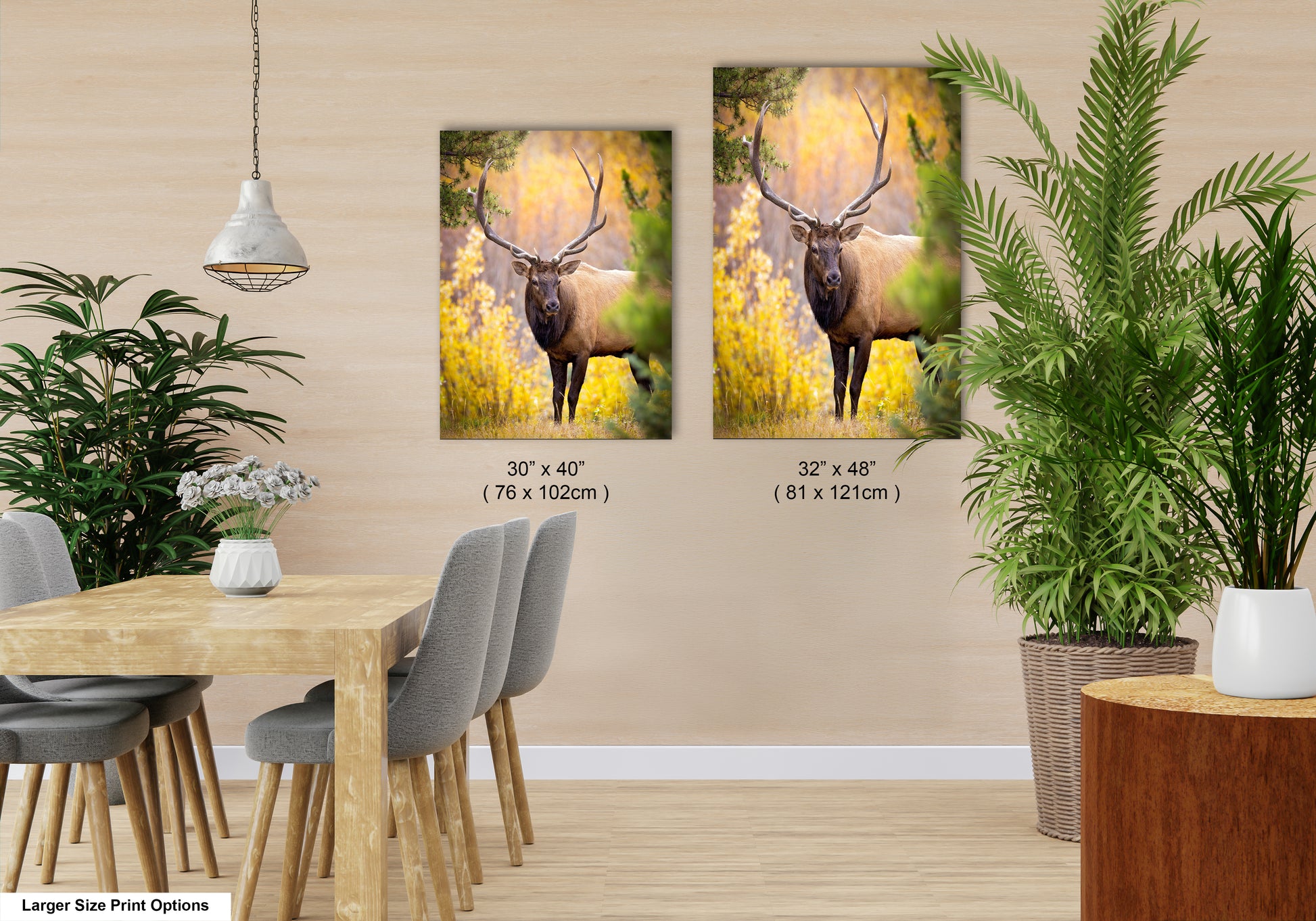 a couple of paintings of a deer in a room