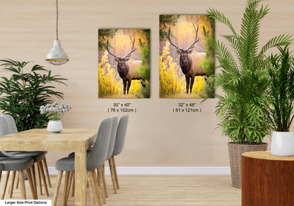 a couple of paintings of a deer in a room