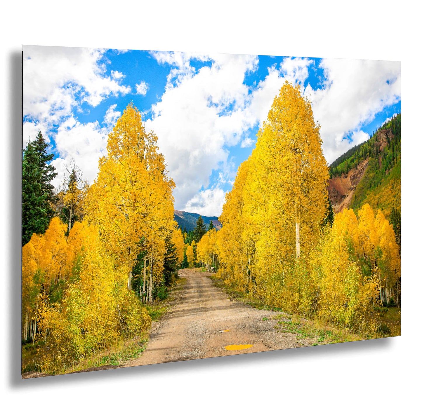 a dirt road surrounded by trees with yellow leaves