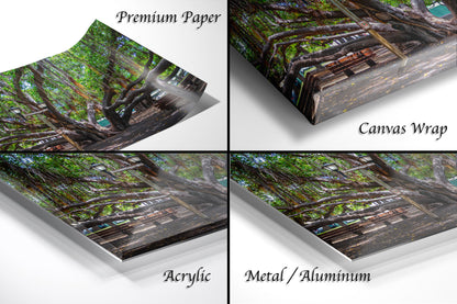 a series of photos of a bench in the woods