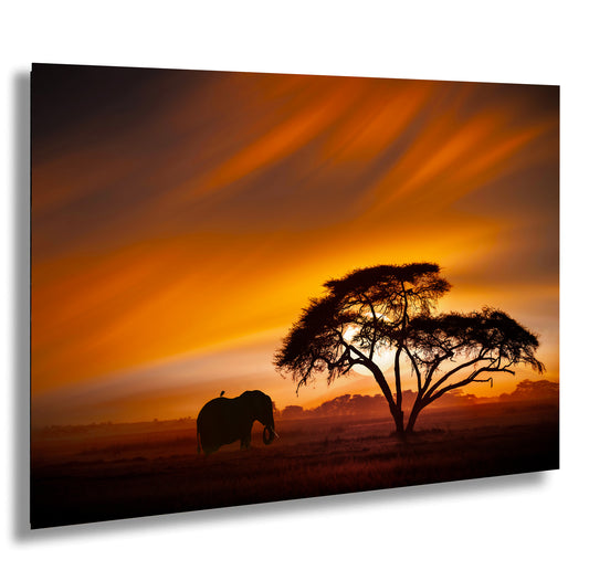 an elephant is standing in the grass near a tree