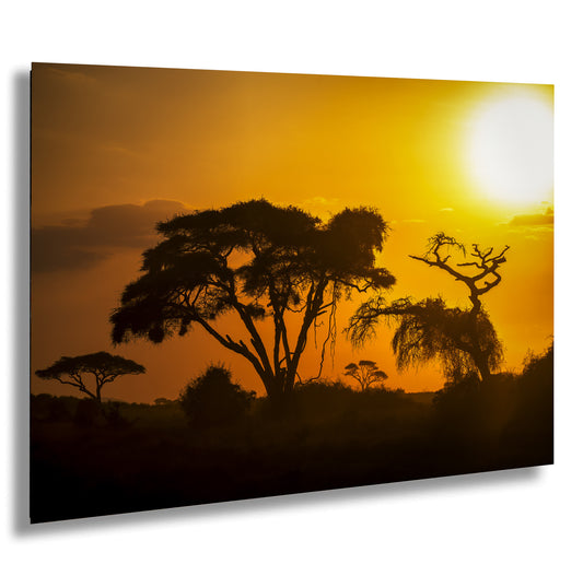 the sun is setting behind the silhouette of trees