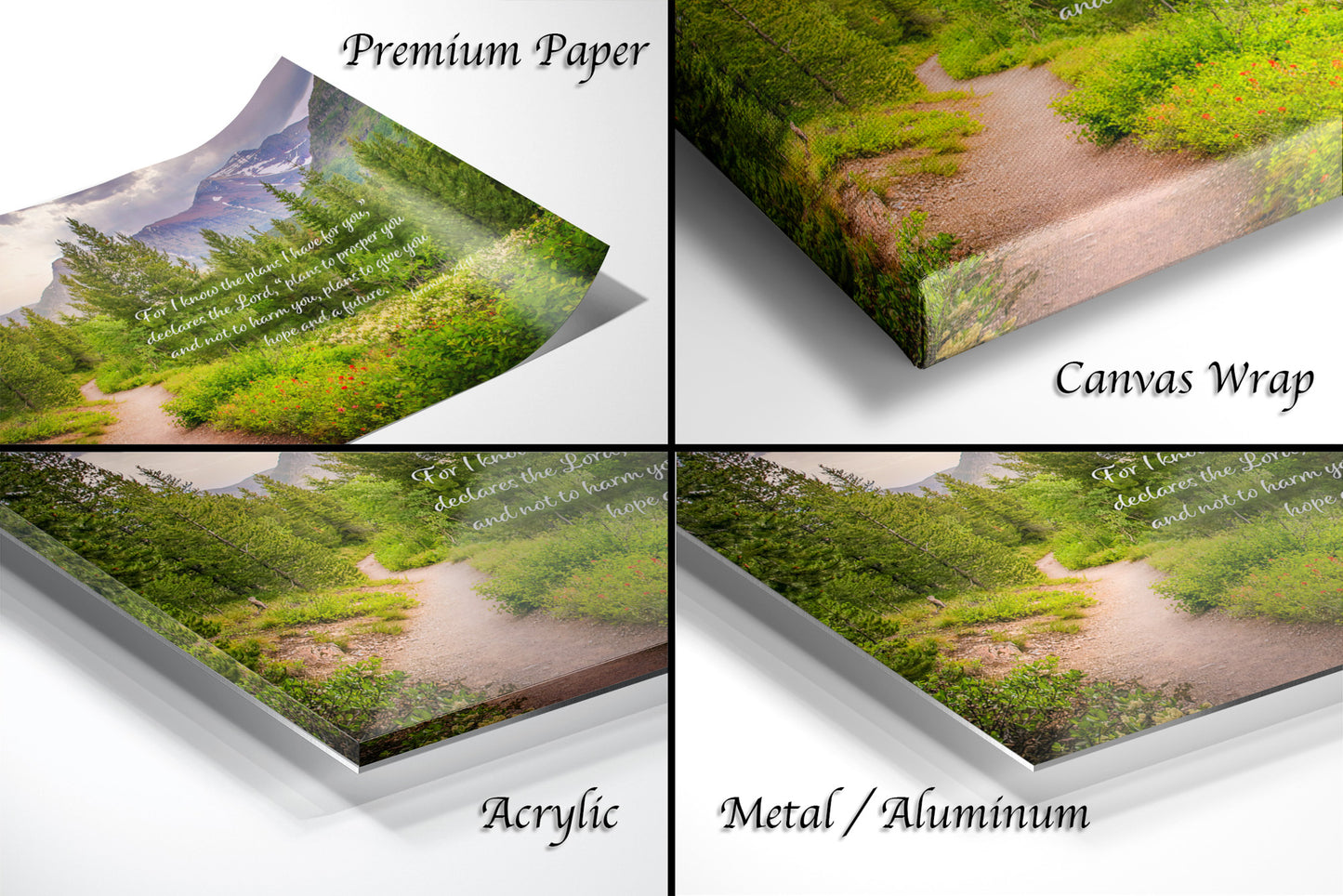 a series of four photos of a path through a forest
