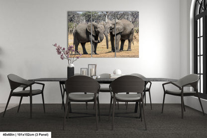 a couple of elephants standing next to each other