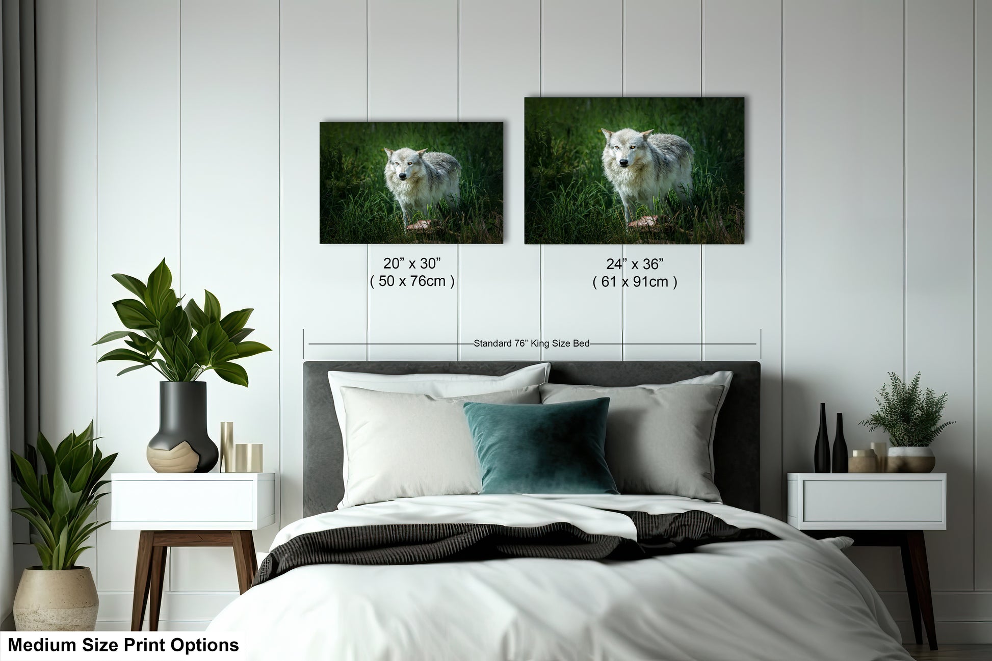 a bed with two pictures of a white tiger on the wall
