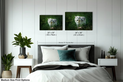a bed with two pictures of a white tiger on the wall