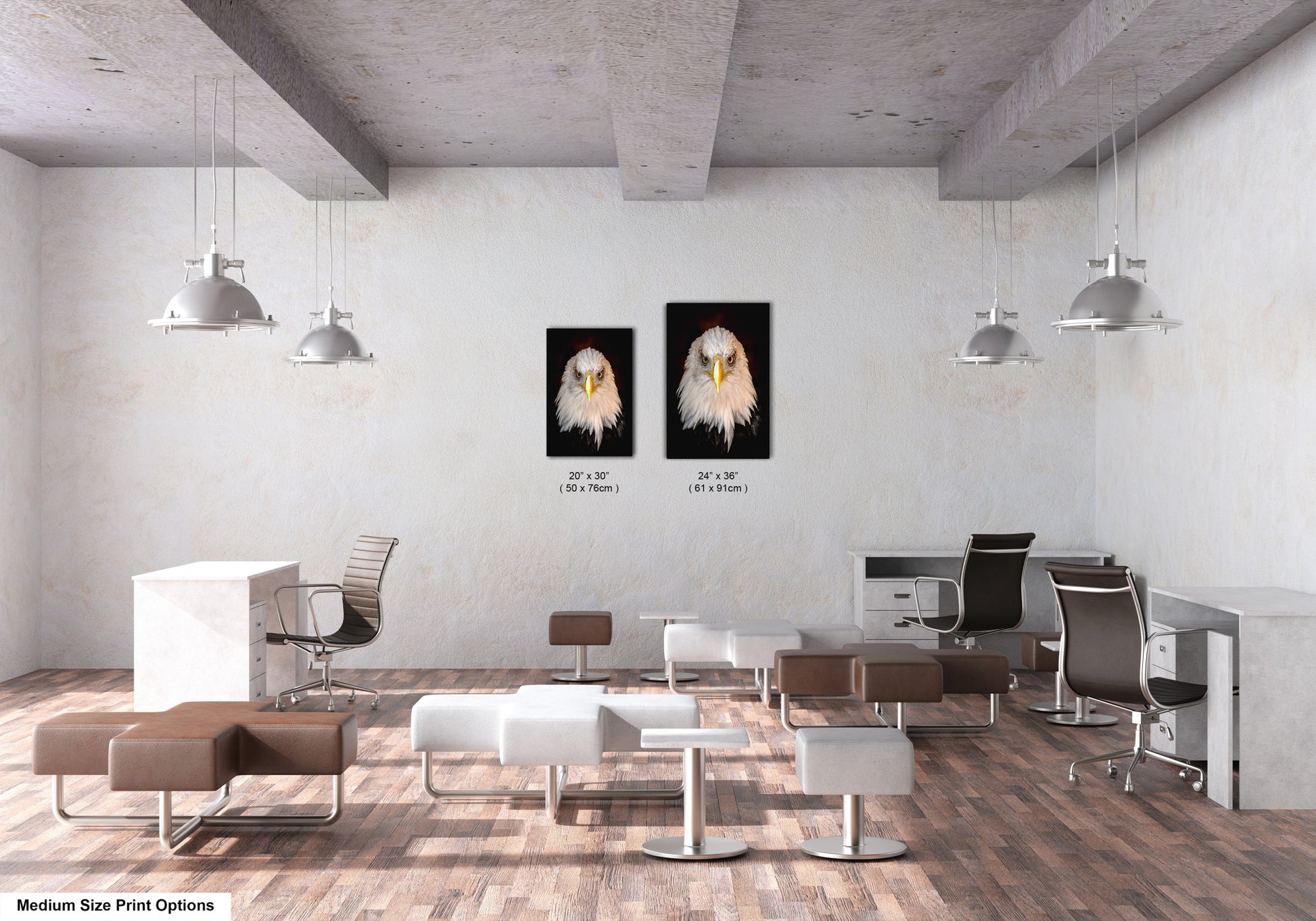 a room with two pictures of an eagle on the wall