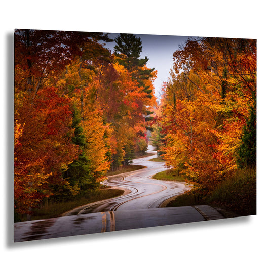 a winding road surrounded by trees in the fall
