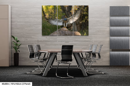 a modern office space with a large, high-quality photograph of a bird of prey, possibly a hawk or falcon, in flight displayed on the wall above a conference table surrounded by chairs.
