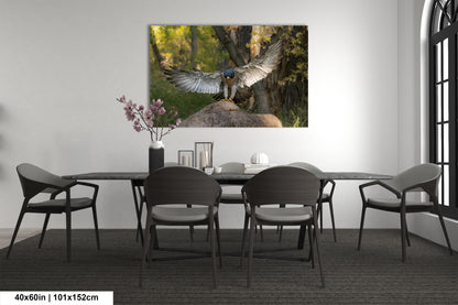 a large bird of prey, possibly a hawk or falcon, with its wings spread wide, perched on a rock in a forest setting. The bird is the focal point of the image, which is displayed on the wall above a dining table with four chairs.