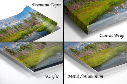 a series of four photos of a river and trees