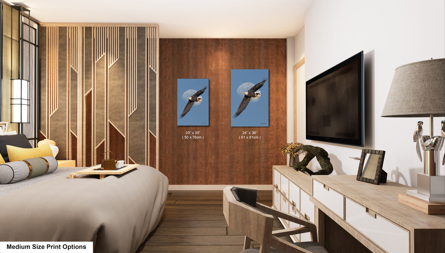 a modern bedroom with a large bed, a wooden dresser, and a television mounted on the wall. There are two framed pictures of a bird, possibly a hawk, hanging on the wall. The room also features a wooden floor and a large window.