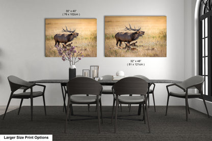a dining room table with four chairs and a picture of an elk