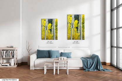a living room with a white couch and two paintings on the wall