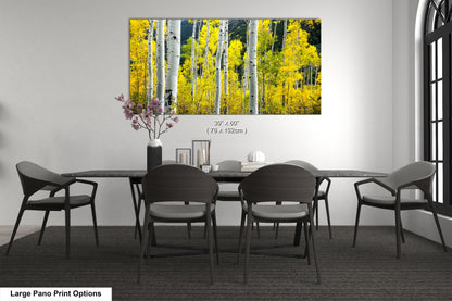 a dining room table with chairs and a vase of flowers