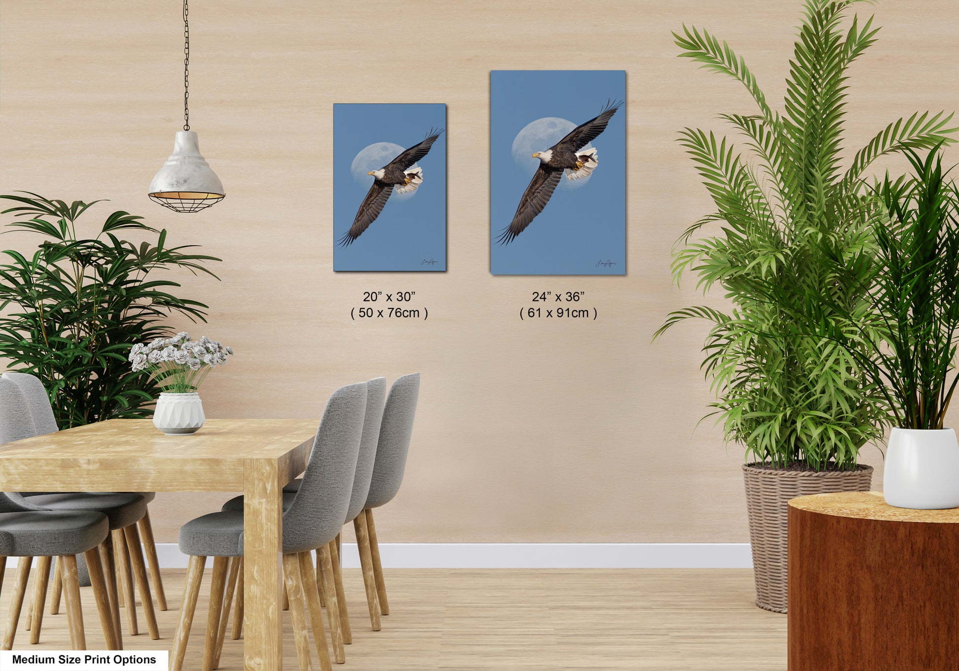 a modern dining room with a wooden table and chairs, a potted plant, and two framed prints of a bald eagle in flight.