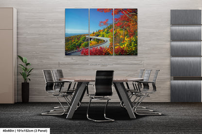 a painting of a road going through a forest