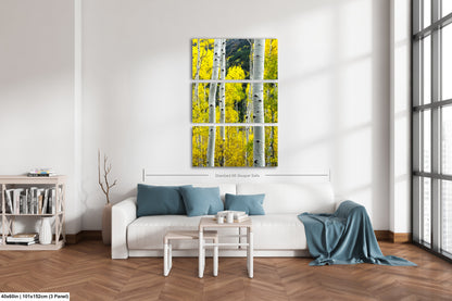 a living room filled with furniture and a white couch