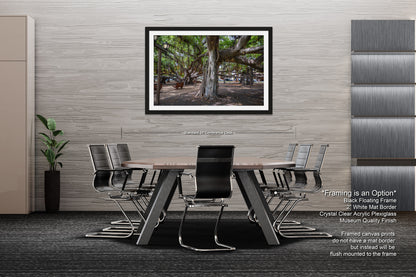 a dining room with a table and chairs