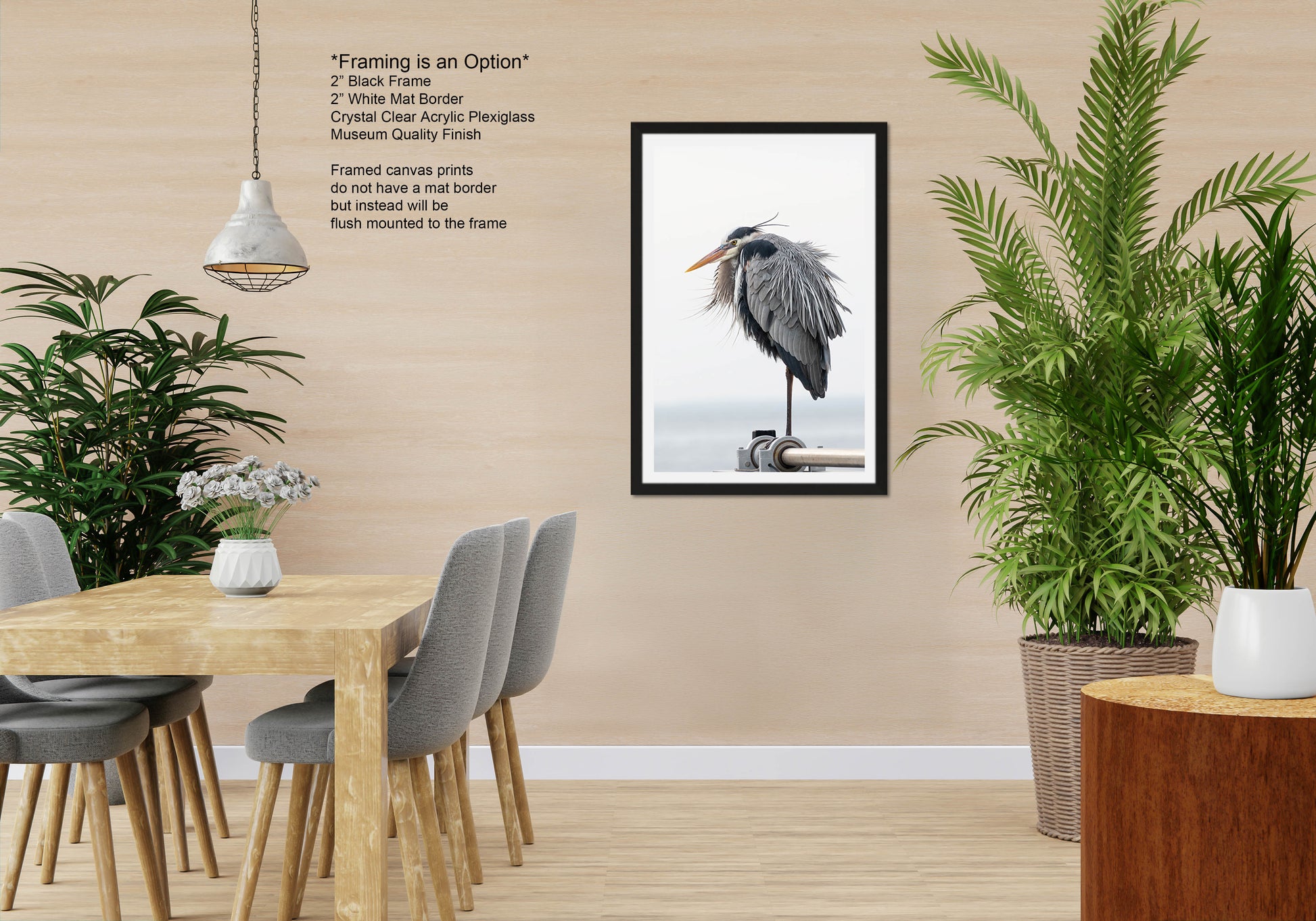 a picture of a bird hanging on a wall