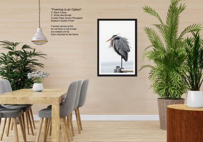 a picture of a bird hanging on a wall